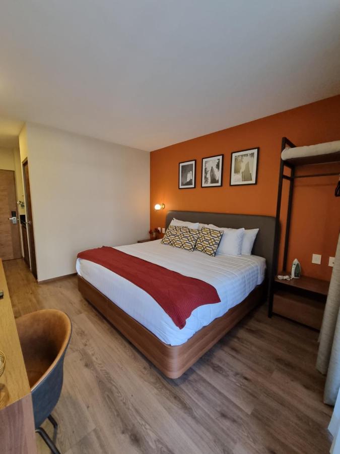 Condesa Cibel Daire Meksika Dış mekan fotoğraf